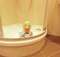 Wohnung zum Mieten in Chemnitz 351,00 € 57.5 m²