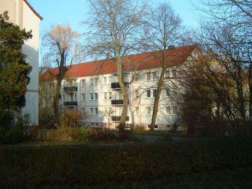 Foto - Wohnung zum Mieten in Crinitz 257,55 € 46.48 m²