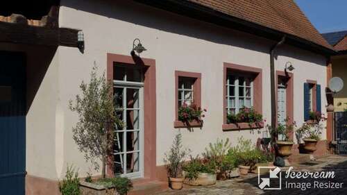 Foto - Haus zum Mieten in Ellerstadt 1.100,00 € 125 m²