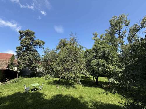 Foto - Haus zum Kaufen in Ringelai 350.000,00 € 326 m²