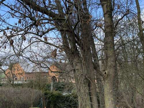 Foto - Spezialgewerbe in Neuburg , NWM 700.000,00 €