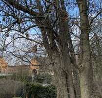 Spezialgewerbe in Neuburg , NWM 700.000,00 €