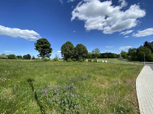 Foto - Grundstück zu verkaufen in Grebenhain Hartmannshain 59.900,00 € 964 m²