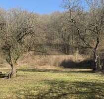 Grundstück zu verkaufen in Wirsberg 269.000,00 € 1811 m²