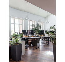 Büro in Berlin 830,00 € 50 m² - 830,00&nbsp;EUR Kaltmiete, ca.&nbsp; 50,00&nbsp;m&sup2; in Berlin (PLZ: 13357)