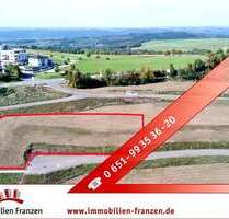 Grundstück zu verkaufen in Pellingen 1.055.260,00 € 2777 m²