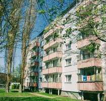 Wohnung zum Mieten in Prenzlau 430,00 € 60.8 m²