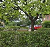 Haus zum Kaufen in Greven 395.000,00 € 143.43 m²
