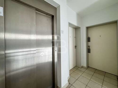 Foto - Wohnung zum Mieten in Köln 2.720,00 € 170 m²