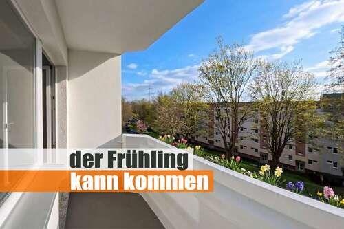 Foto - Wohnung zum Mieten in Chemnitz 445,00 € 68.5 m²