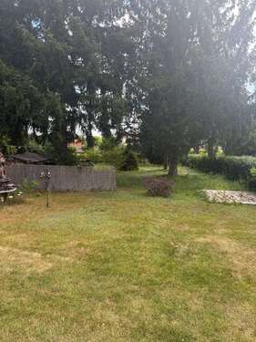 Foto - Grundstück zu verkaufen in Briesen 75.000,00 € 500 m²