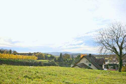 Foto - Grundstück zu verkaufen in Malterdingen 363.350,00 € 559 m²