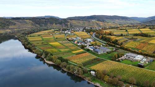 Foto - Grundstück in Pünderich 99.000,00 € 4220 m²