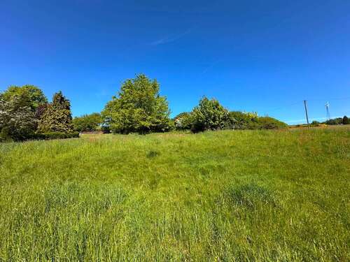 Foto - Grundstück zu verkaufen in Freudenberg 114.000,00 € 1072 m²
