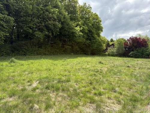Foto - Grundstück zu verkaufen in Reichshof Denklingen 44.502,00 € 261 m²