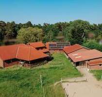 Haus zum Kaufen in Bleckede 998.000,00 € 291 m²