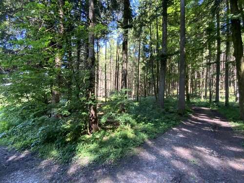 Foto - Grundstück in Babensham 149.000,00 € 14066 m²