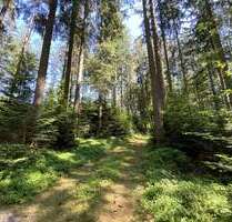 Grundstück in Eiselfing 595.000,00 € 42080 m²