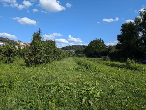Foto - Grundstück zu verkaufen in Weinheim 429.200,00 € 464 m²
