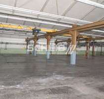 Halle in Oberrot 8.500,00 € 3300 m²