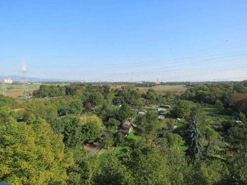 Foto - Wohnung zum Mieten in Hattersheim 570,00 € 37.81 m²