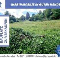 Grundstück zu verkaufen in Bann 85.000,00 € 1300 m²