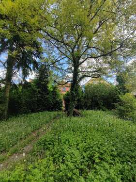 Foto - Haus zum Kaufen in Mühlheim am Main 599.000,00 € 120 m²