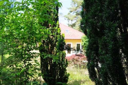 Foto - Haus zum Kaufen in Falkensee 625.000,00 € 154 m²