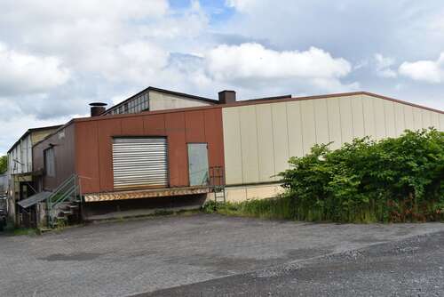 Foto - Halle in Bad Driburg 295.000,00 € 1400 m²