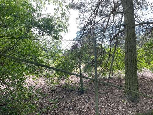 Foto - Grundstück zu verkaufen in Cumlosen 28.000,00 € 900 m²