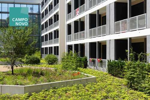 Foto - Wohnung zum Mieten in Mainz 570,00 € 22 m²