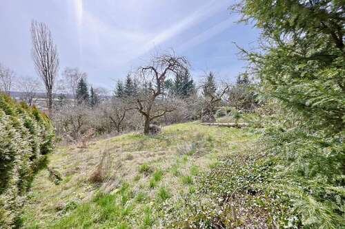 Foto - Grundstück zu verkaufen in Erbach 1.576.000,00 € 1999 m²