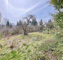 Grundstück zu verkaufen in Erbach 1.576.000,00 € 1999 m²