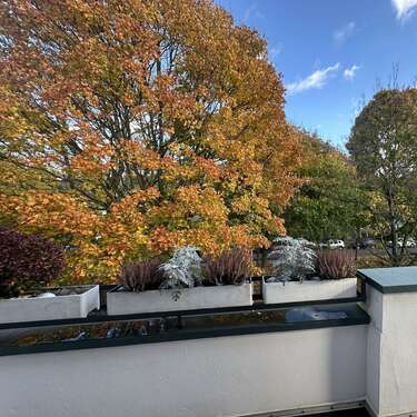 Foto - Wohnung zum Kaufen in Krefeld 275.000,00 € 83 m²