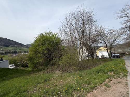 Foto - Grundstück zu verkaufen in Miltenberg 200.000,00 € 1200 m²