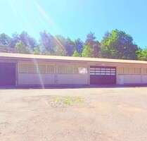 Halle in Schindhard 3.250,00 € 650 m²