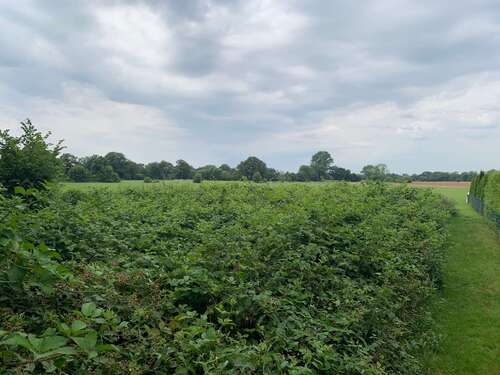 Foto - Grundstück zu verkaufen in Kaltenkirchen 70.000,00 € 1707 m²