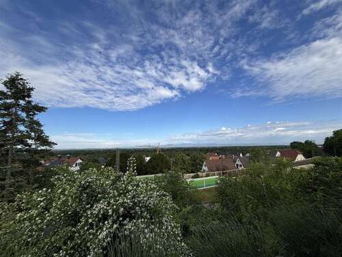 Foto - Haus zum Kaufen in Bad Bellingen 680.000,00 € 196.95 m²