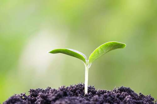 Foto - Grundstück zu verkaufen in Tübingen 20.000,00 € 3698 m²