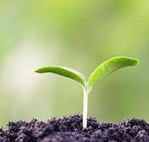 Grundstück zu verkaufen in Tübingen 20.000,00 € 3698 m²