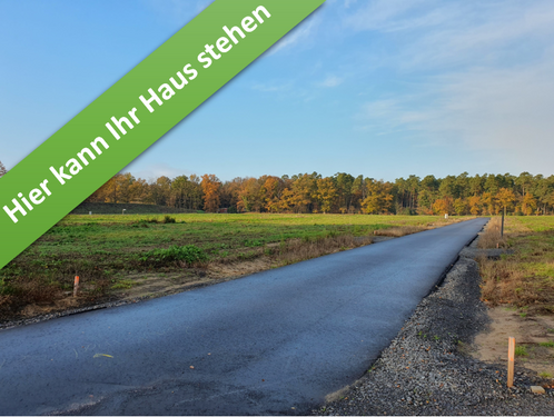 Foto - Haus zum Kaufen in Hodenhagen 372.790,00 € 124 m²