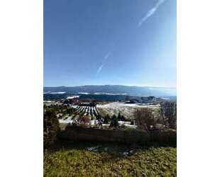 Haus zum Kaufen in Sigmarszell 549.000,00 € 168 m²