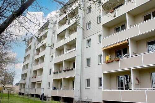 Foto - Wohnung zum Mieten in Magdeburg 325,00 € 48.25 m²