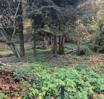 Grundstück zu verkaufen in Pirna 79.000,00 € 718 m²