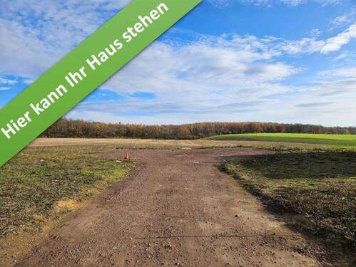 Foto - Haus zum Kaufen in Harbke 319.050,00 € 136 m²