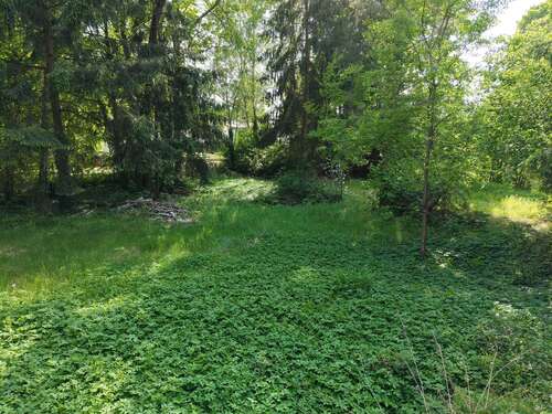 Foto - Grundstück zu verkaufen in Wandlitz 415.000,00 € 2465 m²