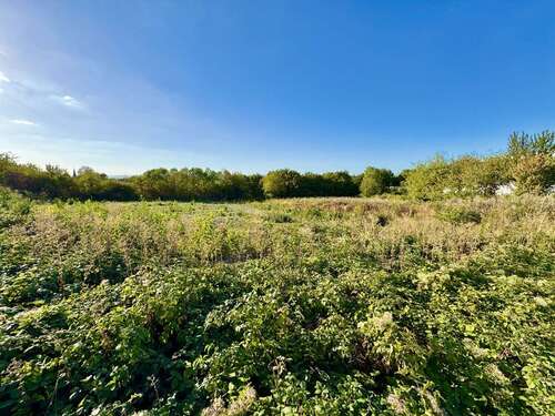 Foto - Grundstück in Wörrstadt 350.000,00 € 2300 m²