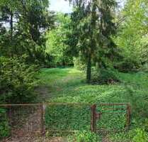 Grundstück zu verkaufen in Wandlitz 220.000,00 € 1267 m²
