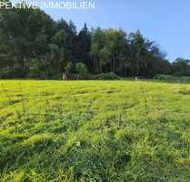 Grundstück zu verkaufen in Erbach 89.000,00 € 1048 m²