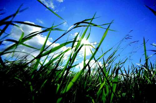 Foto - Grundstück zu verkaufen in München 999.000,00 € 335 m²